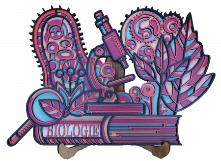 Cadouri personalizate pentru profesori - Decoratiune pentru profesori