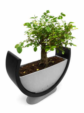 Ghiveci Bonsai Premium Design Modern Imprimat 3D [1]