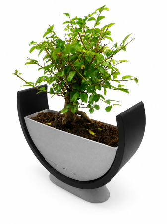 Ghiveci Bonsai Premium Design Modern Imprimat 3D [2]