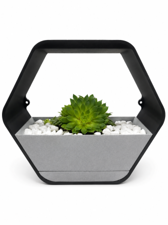 Green Living - Ghiveci de Perete Premium cu Sistem de Udare