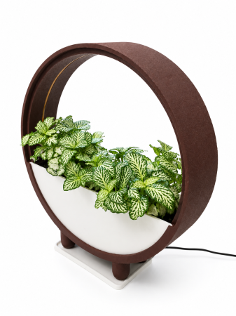 Ghiveci Decorativ cu LED pentru Plante | Nice 3D Gifts [5]