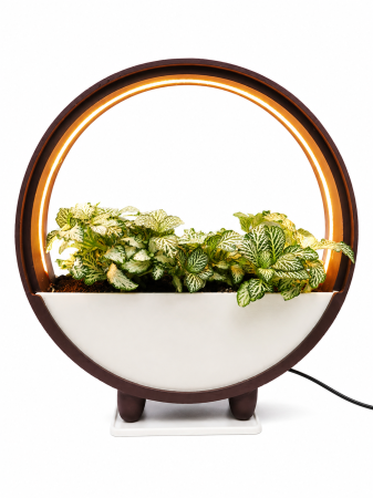 Green Living - Ghiveci Decorativ cu LED pentru Plante | Nice 3D Gifts