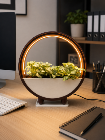 Ghiveci Decorativ cu LED pentru Plante | Nice 3D Gifts [6]