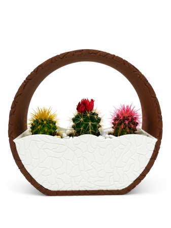 Ghiveci Decorativ Premium cu Sistem de Udare și Tavă de Scurgere – Design Modern Imprimat 3D [1]