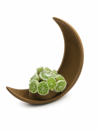 Green Living - Ghiveci Decorativ Premium în Formă de Lună
