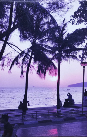 Tablouri Canvas - Tablou canvas