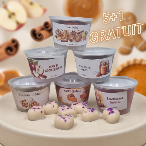 Ceară Parfumată (Wax Melts) - Ceară soia parfumată 5+1 Gratuit – Arome dulci și condimentate 240g