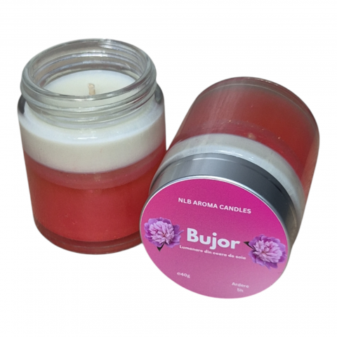 Lumanari Parfumate Handmade - Lumânare Magică cu Bujor – Poțiune Fermecată în Borcan de Sticlă 40g