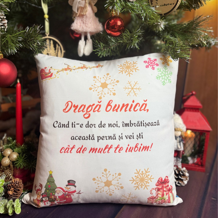 Perna de Craciun pentru cei dragi [1]
