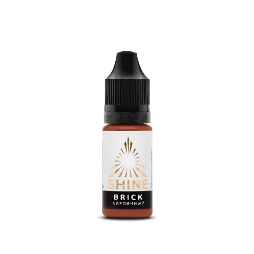 PIGMENT SHINE BRICK CORECTOR [1]