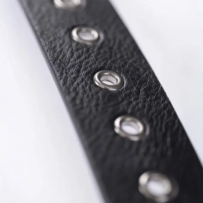 Piele Protectia Muncii [3]