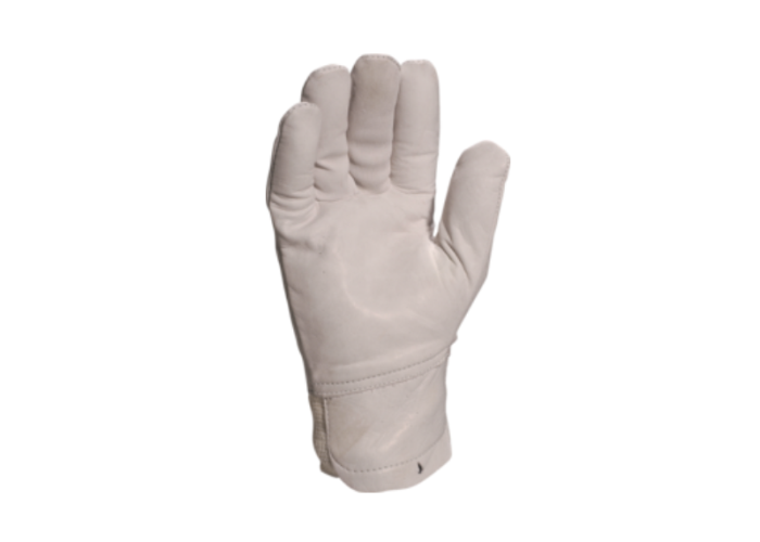 Piele Protectia Muncii [2]