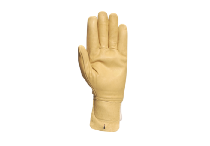 Piele Protectia Muncii [2]