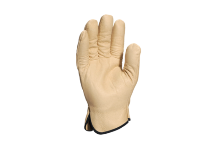 Piele Protectia Muncii [2]