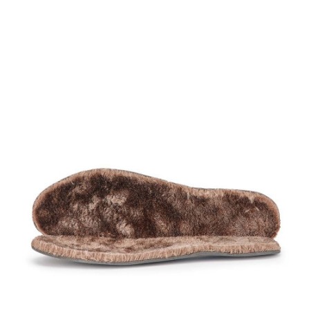 Bocanci Protectia Muncii [1]