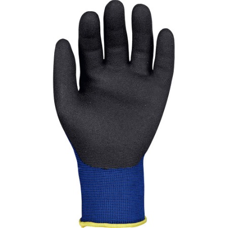 Manusi Protectia Muncii