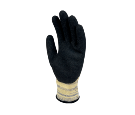 Manusi Protectia Muncii [1]