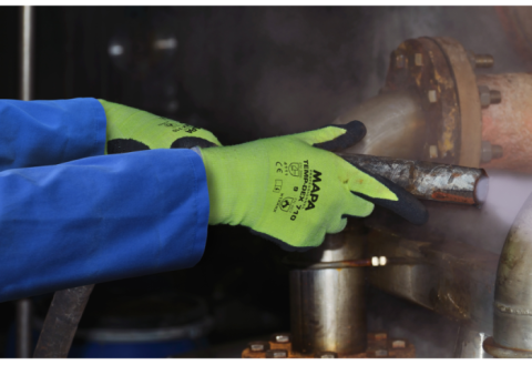 Manusi Protectia Muncii [1]