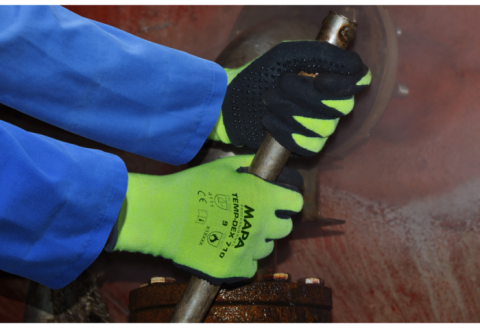 Manusi Protectia Muncii [2]