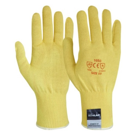 Manusi Protectia Muncii