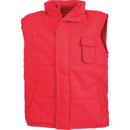 Vesta Protectia Muncii [1]