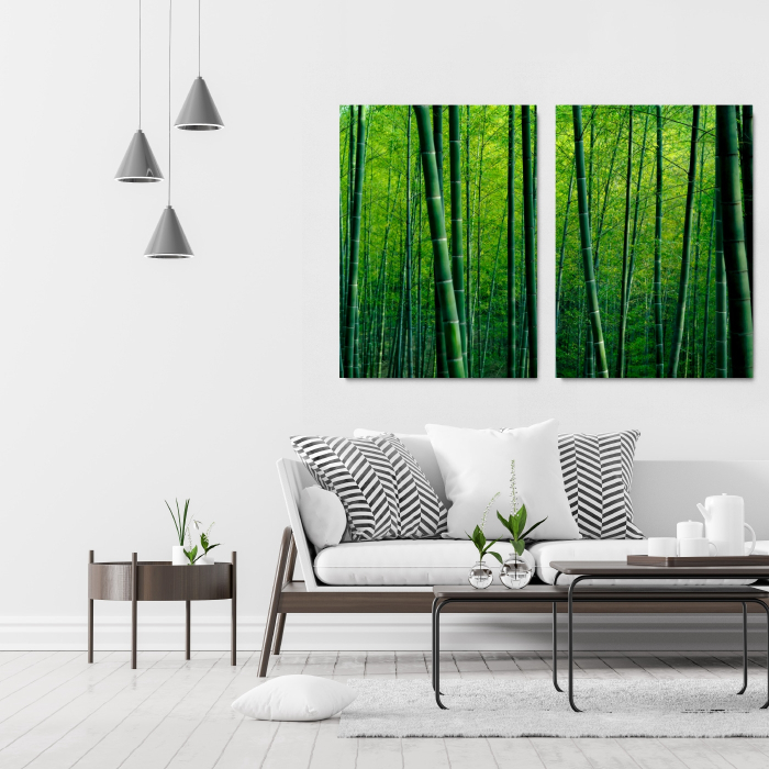 Bamboo Forest in China [2]