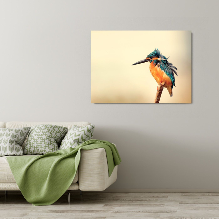 Blue jay Landscape [2]