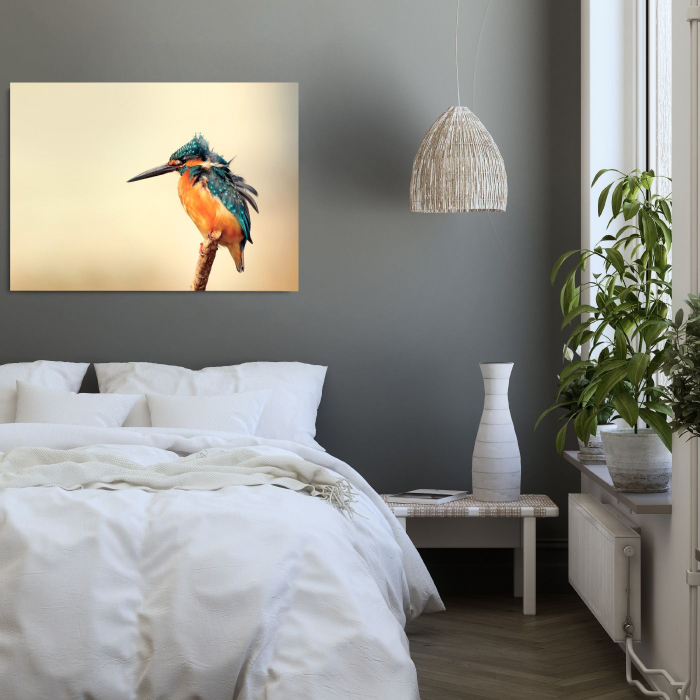 Blue jay Landscape [1]