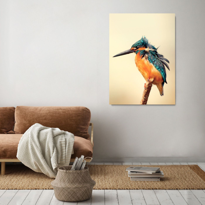 Blue Jay Portrait [2]