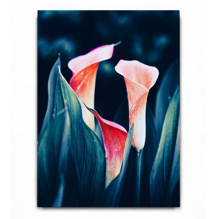 Callas Cinematic [3]