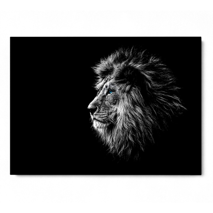 Calm Lion Landscape [3]