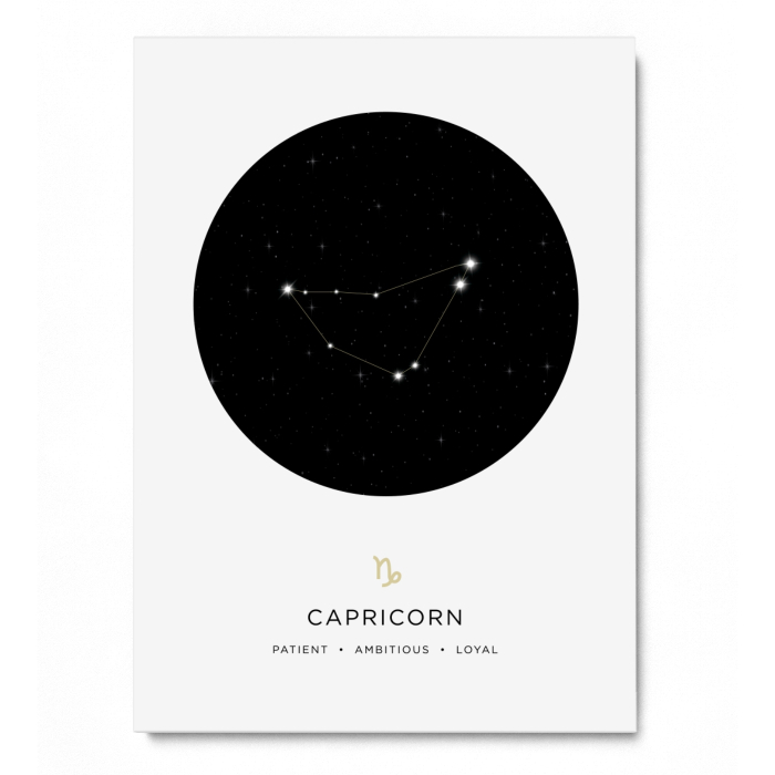 Capricorn [Capricorn] [4]
