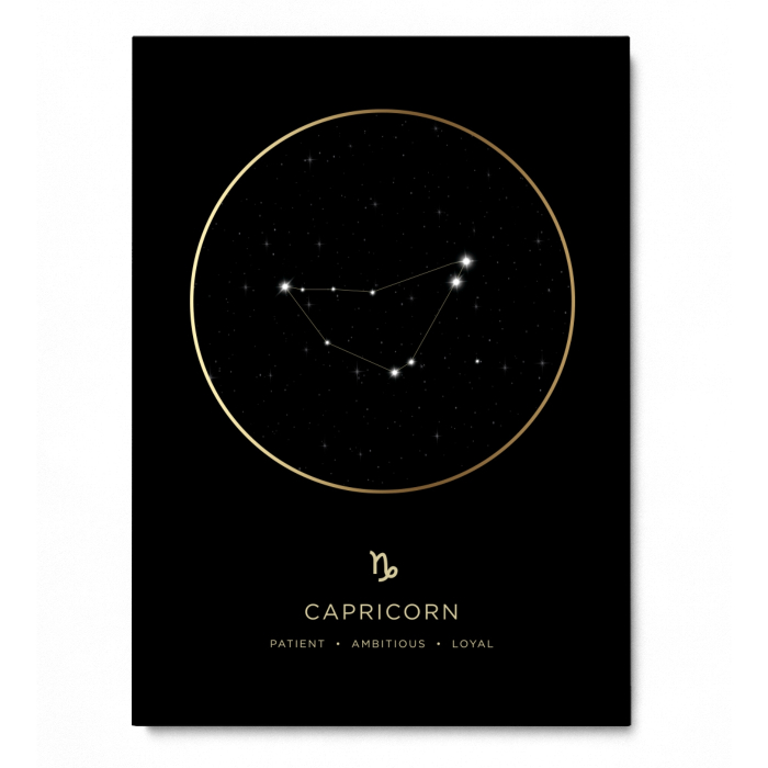 Capricorn [Capricorn] [4]