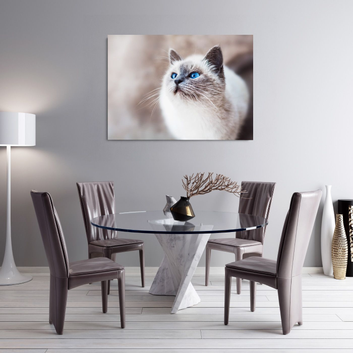 Cat Elegance Landscape [2]