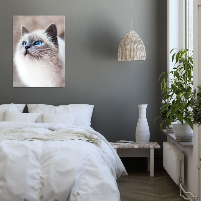 Cat Elegance Portrait [1]