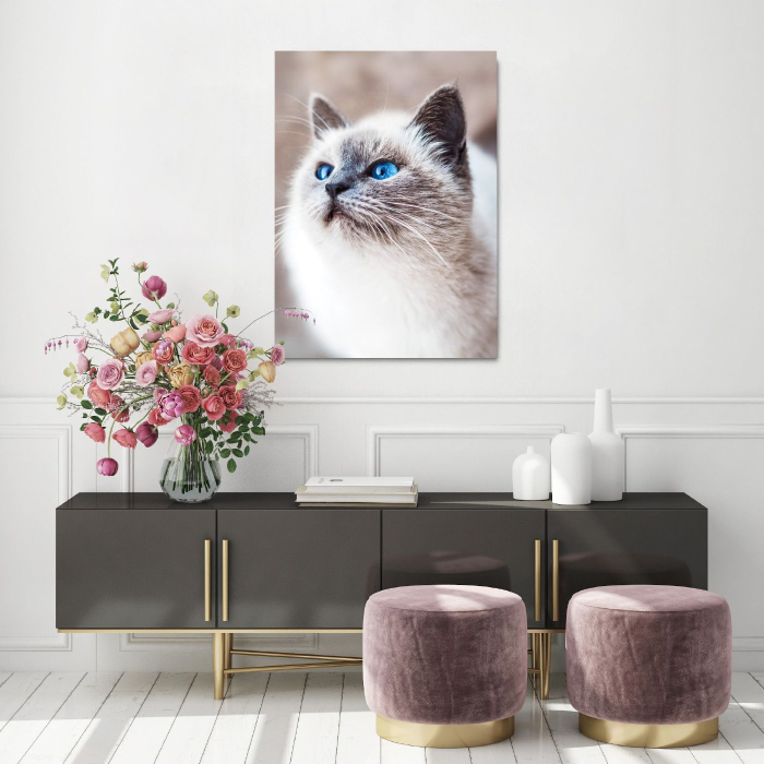 Cat Elegance Portrait [2]