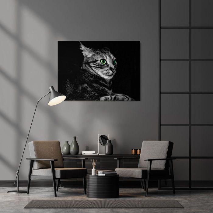 Cat Sense Landscape [2]