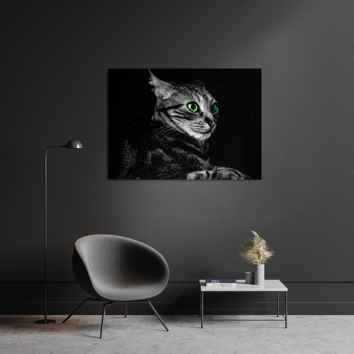 Cat Sense Landscape [1]