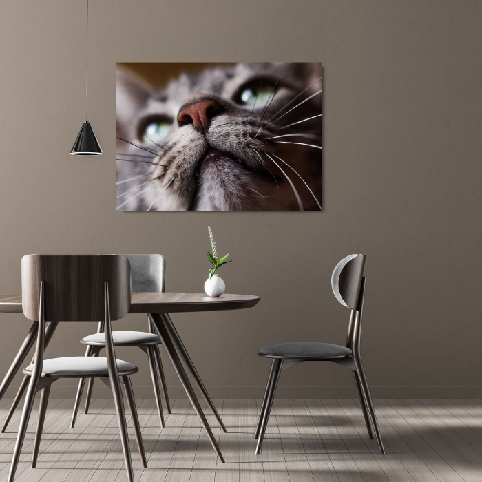 Cat Snout Landscape [2]