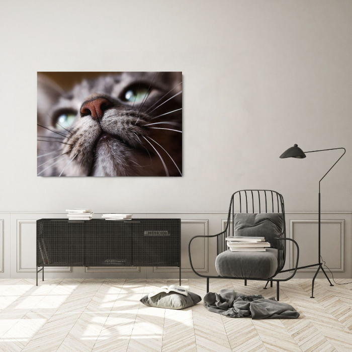 Cat Snout Landscape [1]