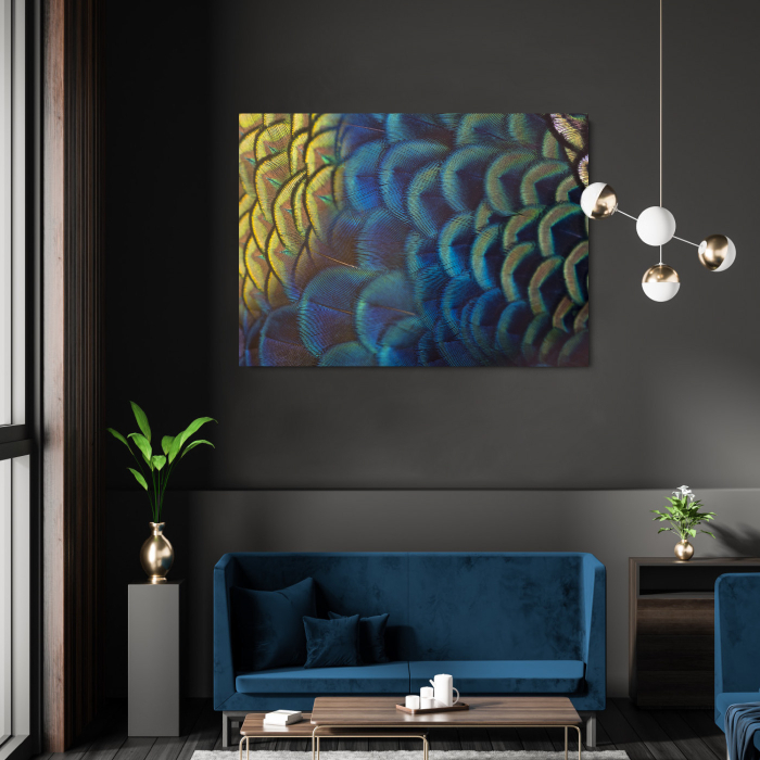 Feathers Landscape [1]