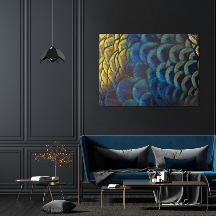 Feathers Landscape [2]