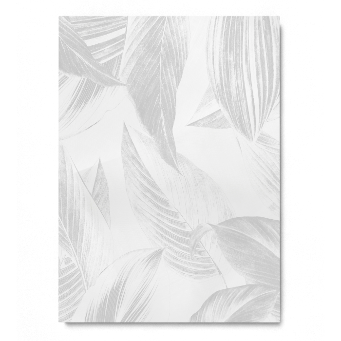 Gray Calathea Lutea Leaf [4]