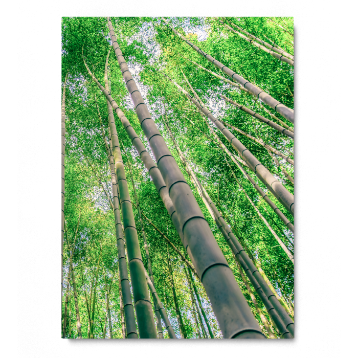 Green Bamboo [4]