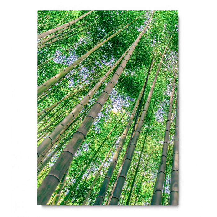Green Bamboo [3]