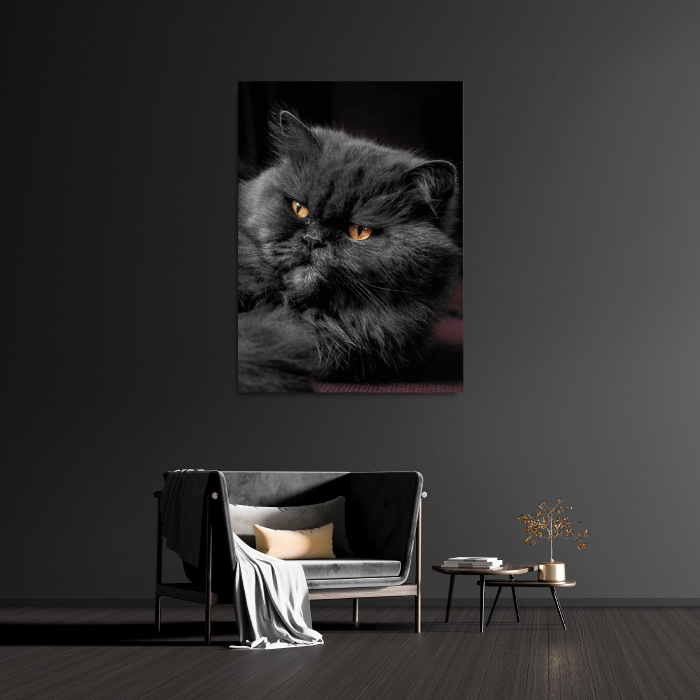 Grumpy Face Portrait [1]