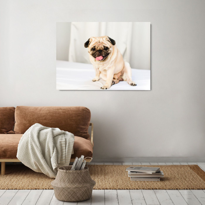 Happy Pug Landscape [1]