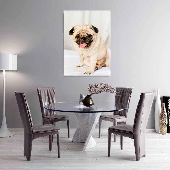 Happy Pug Portrait [2]