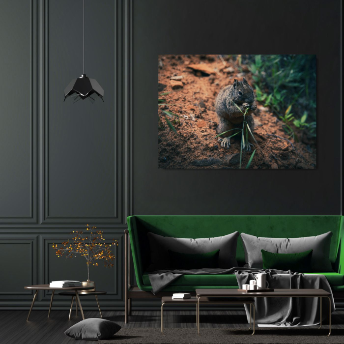 Hungry Squirrel Landscape [1]