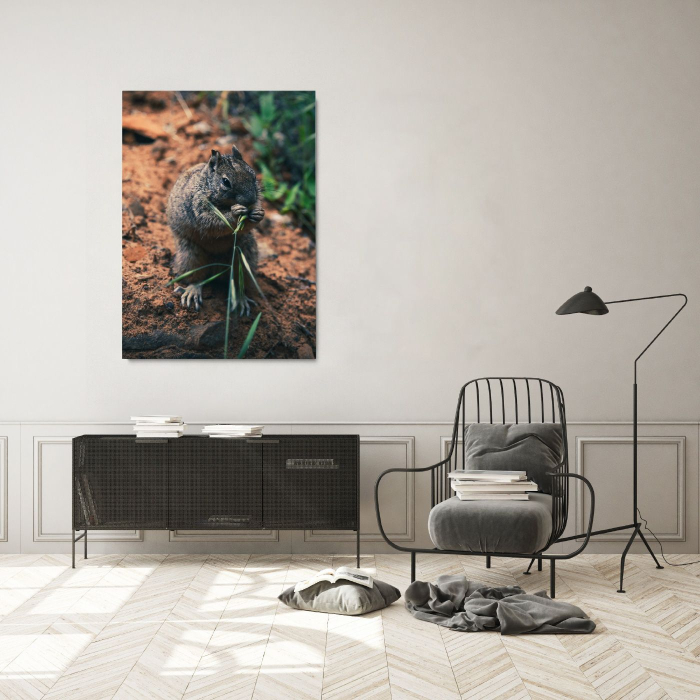 Hungry Squirrel Portrait [1]